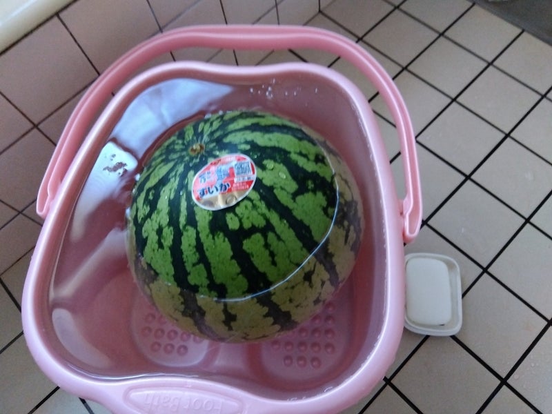 スイカが水を張ったバケツに浮かんでいる