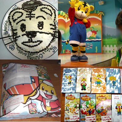 こどもちゃれんじの商品、手作りケーキ　しましまパーク　１２月に届いた袋